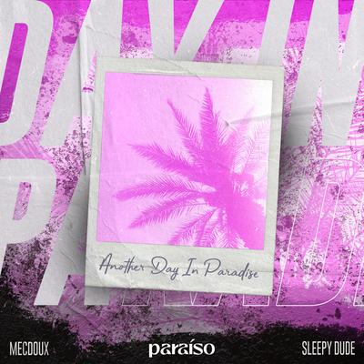 Another Day In Paradise By Mecdoux, sleepy dude's cover