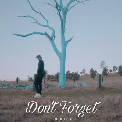 Don't Forget By Blueboy's cover