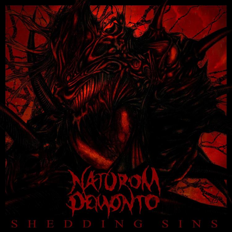 Naturom Demonto's avatar image