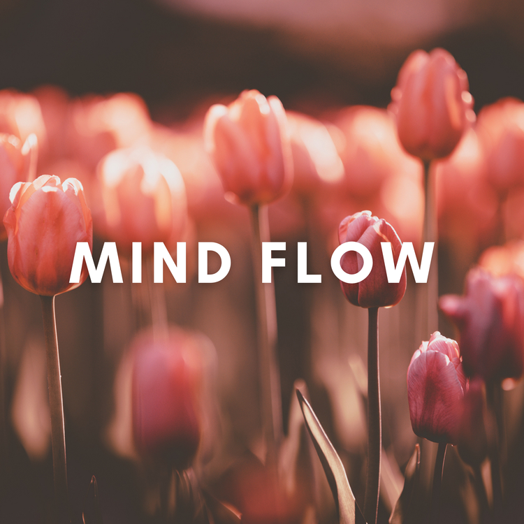 Mind Flow's avatar image