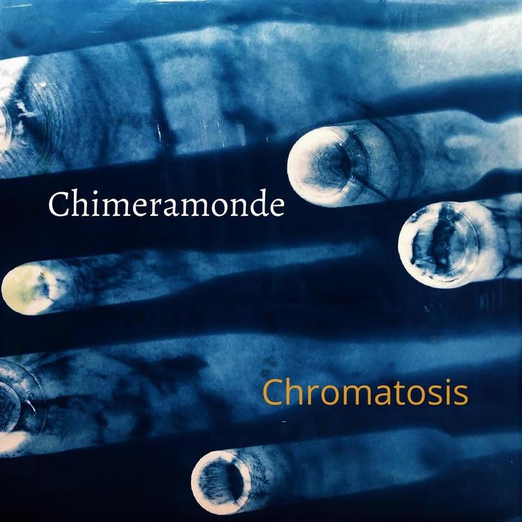 Chimeramonde's avatar image