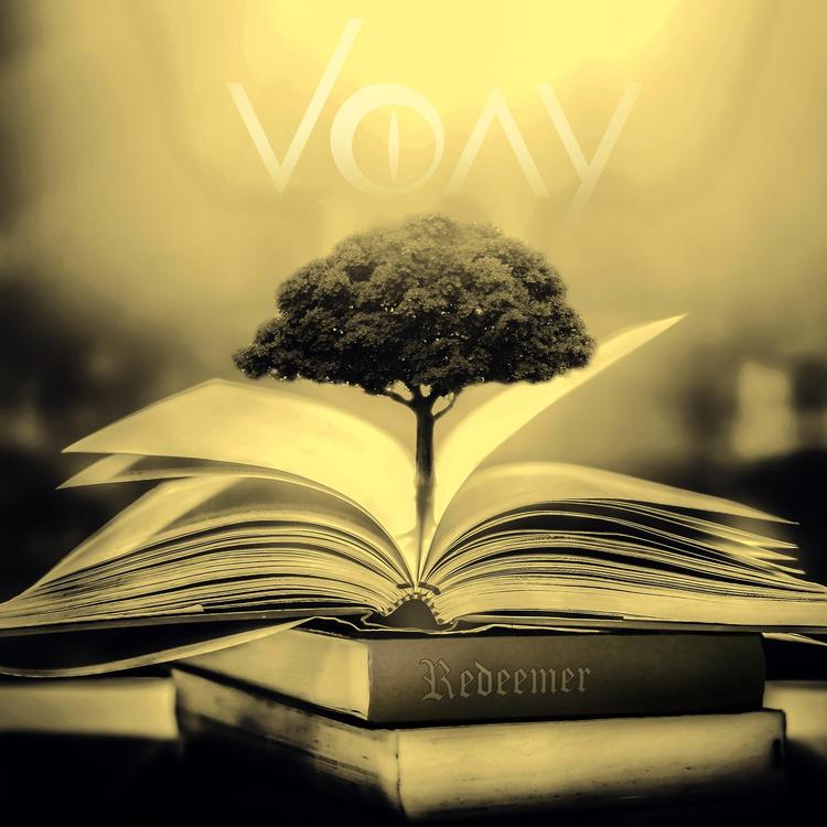 Voay's avatar image