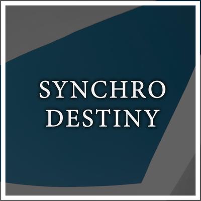 SynchroDestiny By Maneli Jamal, Shaï Sebbag's cover