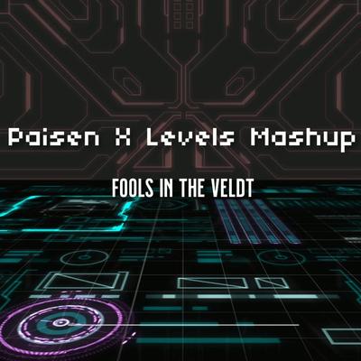 Paisen X Levels Mashup's cover