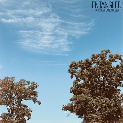 Entangled By Andrew Gialanella's cover