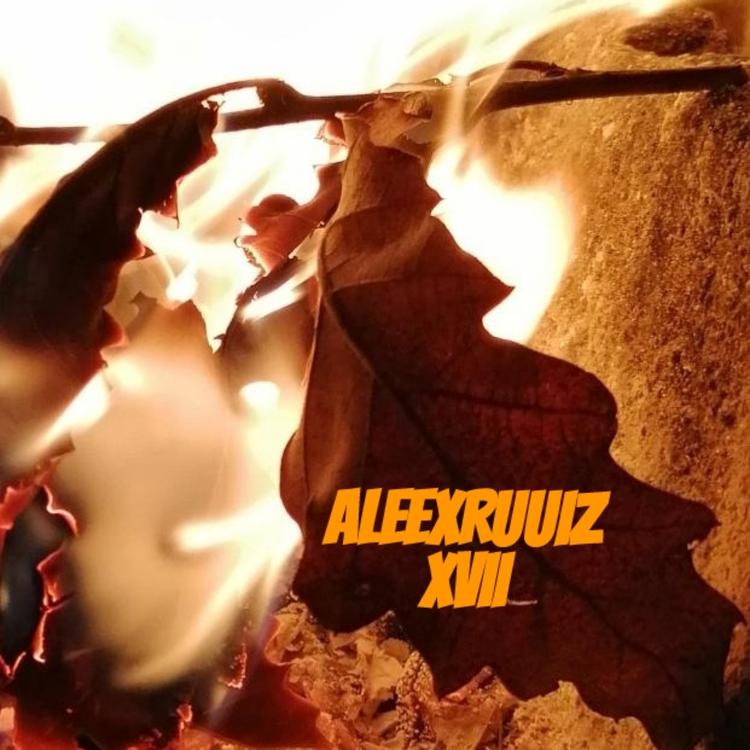 Aleexruuiz's avatar image