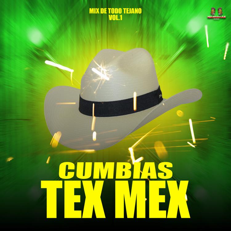 Cumbias Tex Mex's avatar image