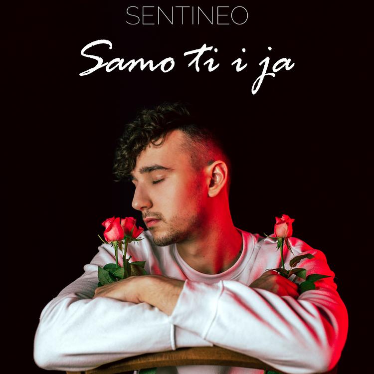 SENTINEO's avatar image