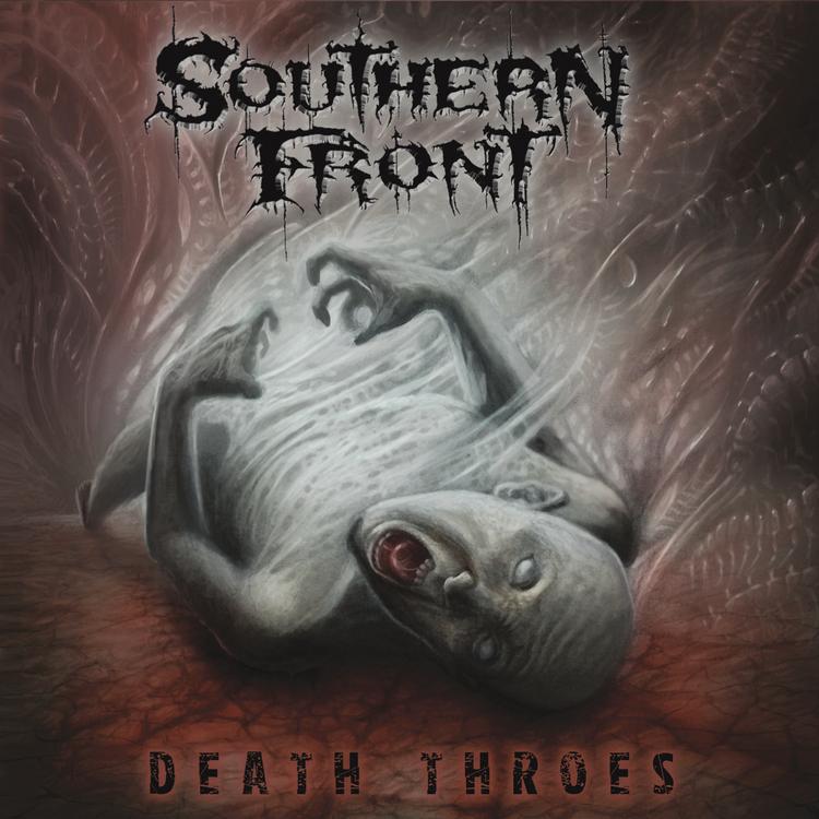 Southern Front's avatar image