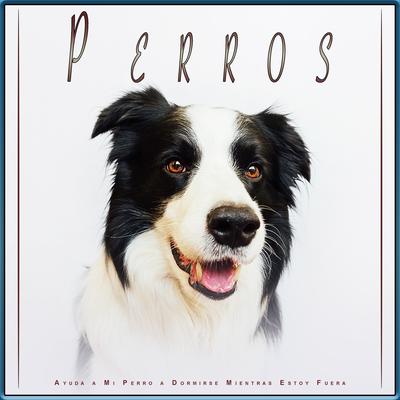 Música para relajarme con mi perro's cover