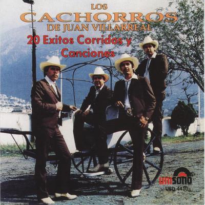 20 Exitos Corridos y Canciones's cover