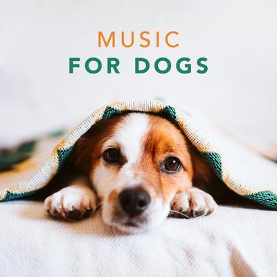 Music for Dogs - Relaxing Songs for Dogs and Puppies, Pt. 01 By Sleepy Dogs's cover