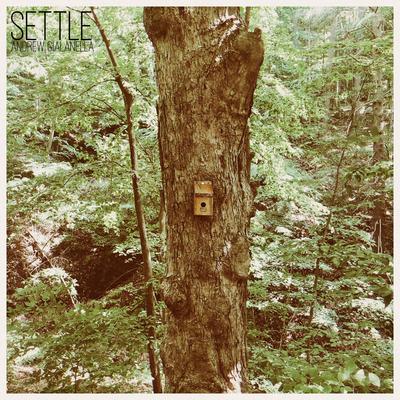 Settle By Andrew Gialanella's cover
