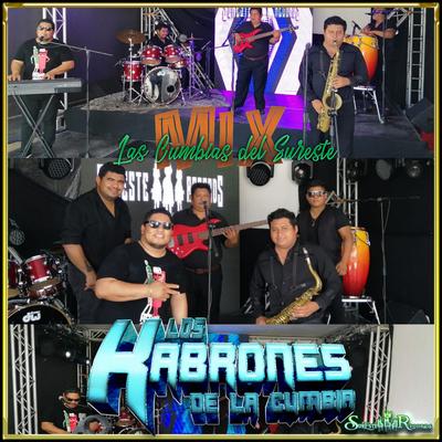 Los Kabrones De La Cumbia's cover