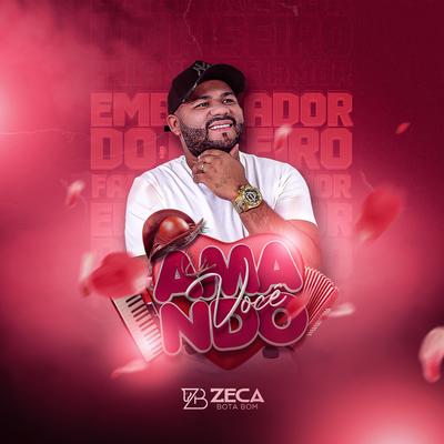 Zeca Bota Bom's cover