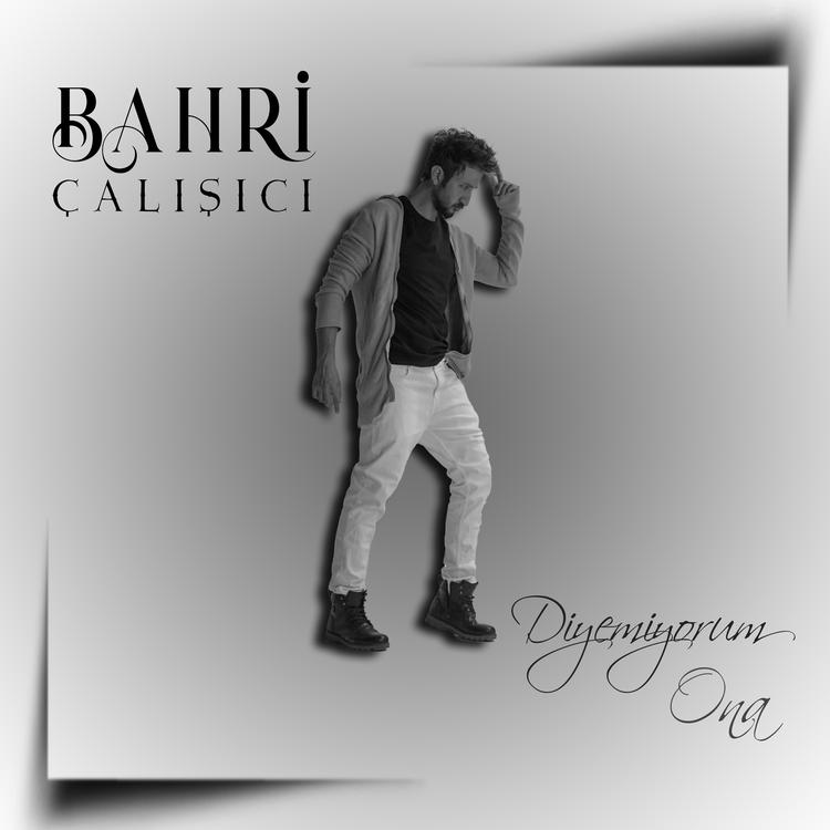 Bahri Çalışıcı's avatar image