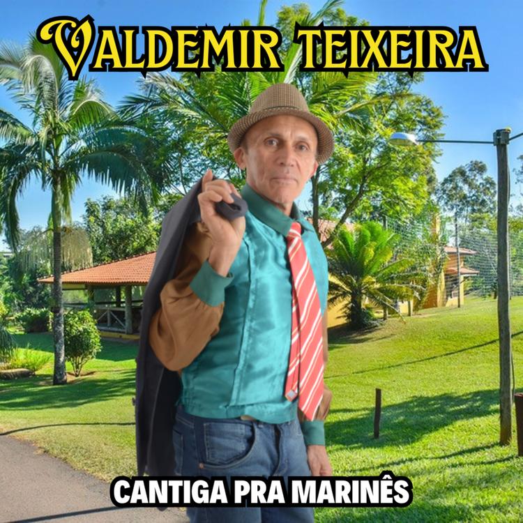 Valdemir Teixeira's avatar image