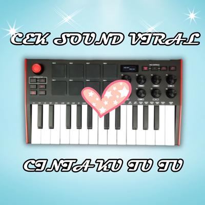 CEK SOUND VIRAL CINTA KU TU TU's cover