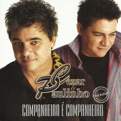 Faltou Coragem By Cezar & Paulinho's cover