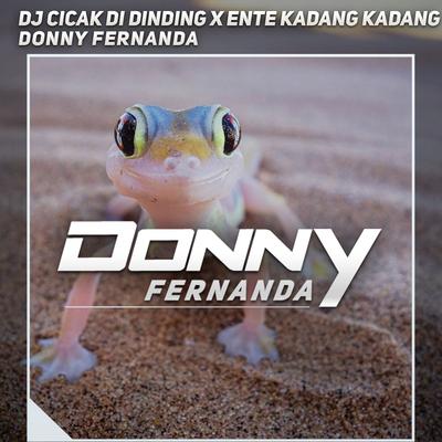 Dj Cicak Di Dinding X Ente Kadang Kadang's cover