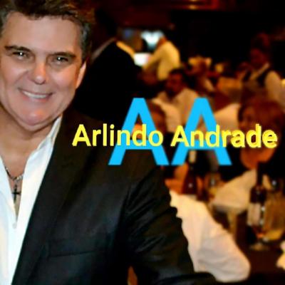 Nao Te Vou Esquecer By Arlindo Andrade's cover