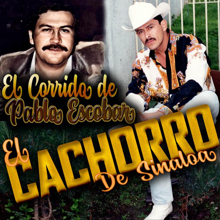El Cachorro De Sinaloa's avatar image