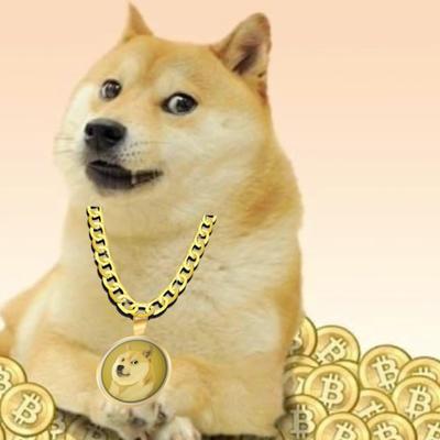 To The Moon By lil dogecoin's cover