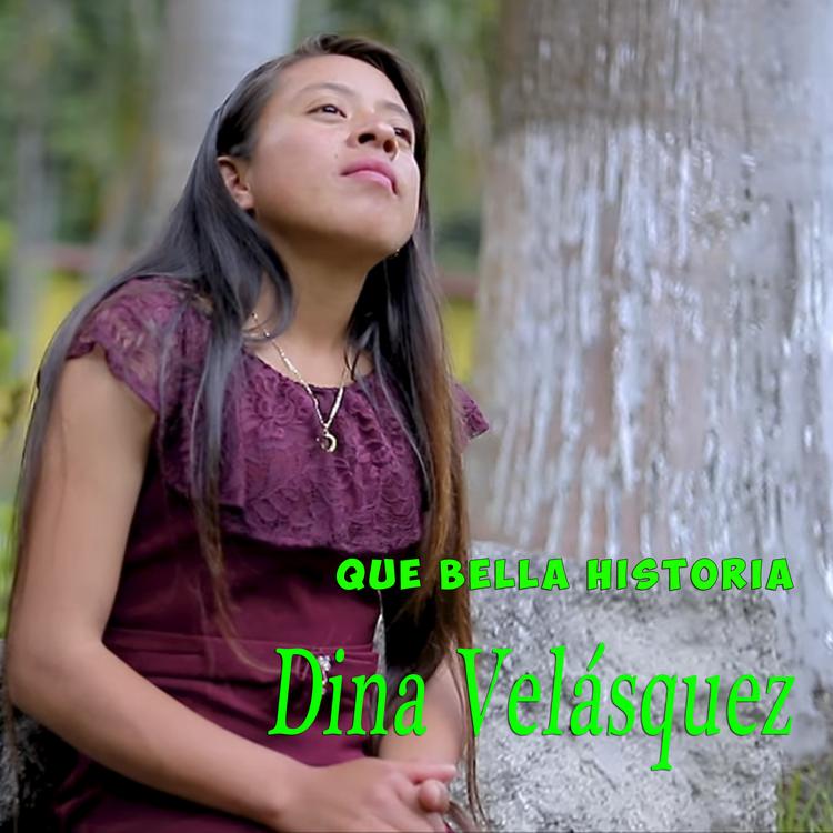 Dina Velásquez's avatar image