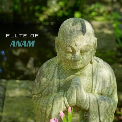 Flute of Anam's cover