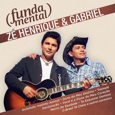 Você É a Dona do Meu Coração By Zé Henrique & Gabriel's cover