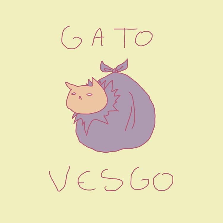 Gato Vesgo's avatar image