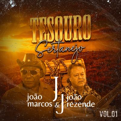 Tesouro Sertanejo, Vol. 1's cover