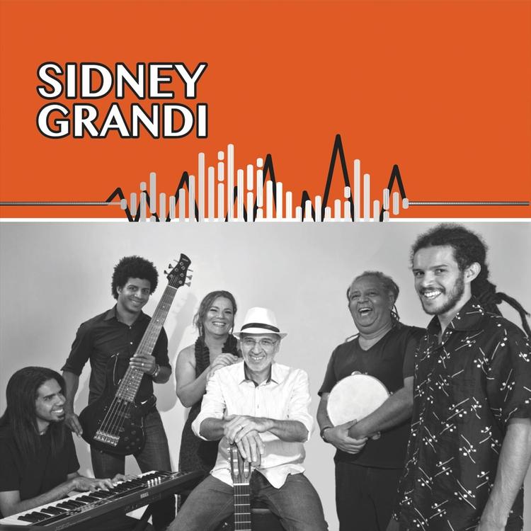 Sidney Grandi's avatar image
