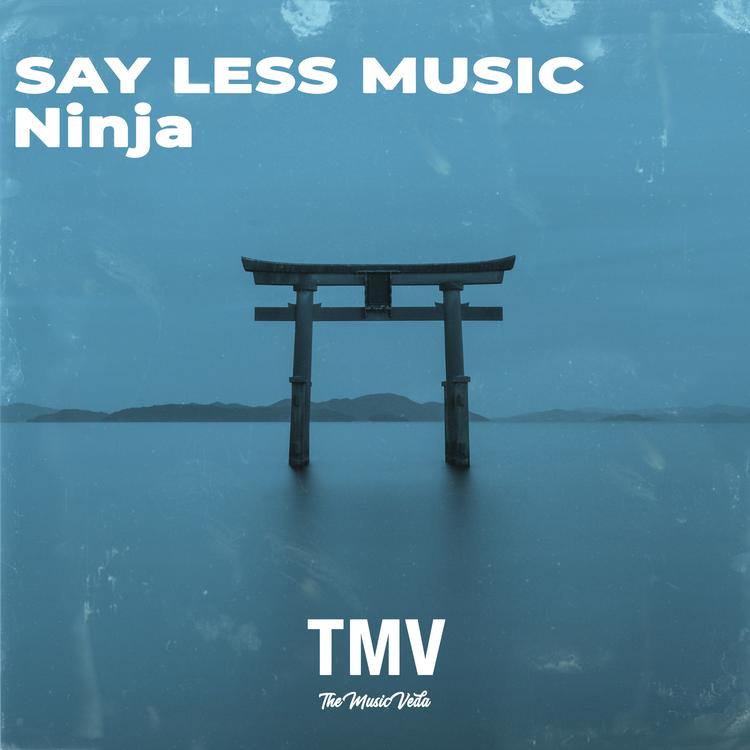 SAY LESS MUSIC's avatar image