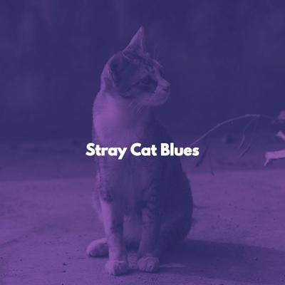 Cat Music Studio's cover