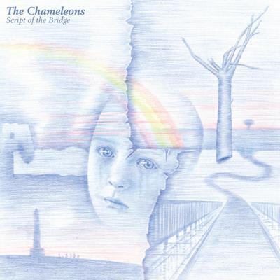 Up the Down Escalator By The Chameleons's cover