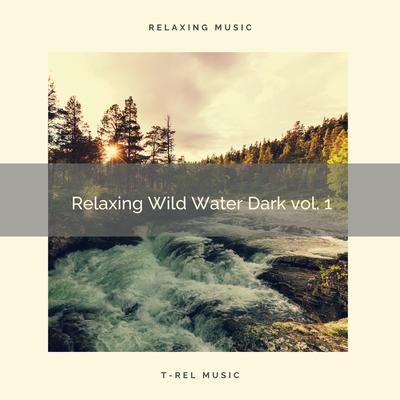 Smooth Crystal Waves Cold vol. 1 By Water Sound Natural White Noise's cover