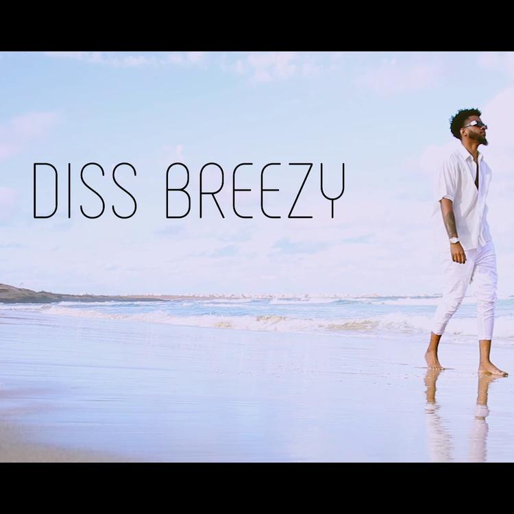 Diss Breezy's avatar image