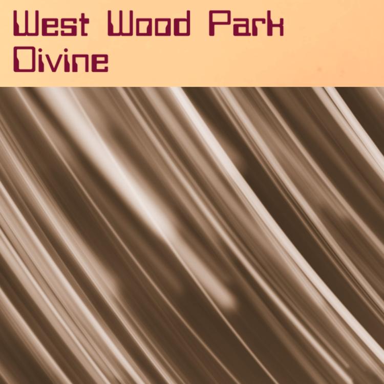 West Wood Park's avatar image