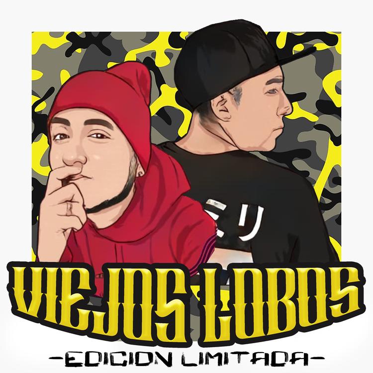 Viejos Lobos's avatar image