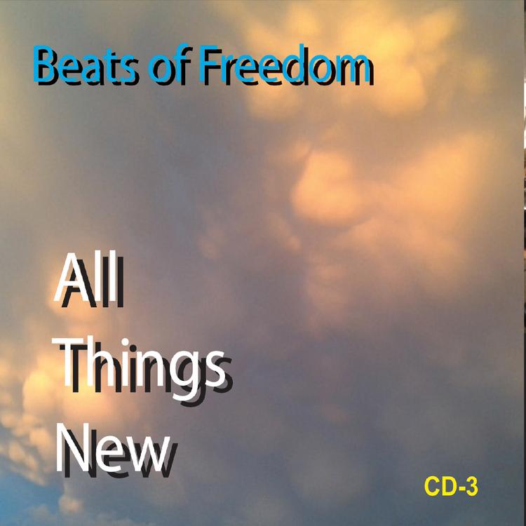 Beats of Freedom's avatar image