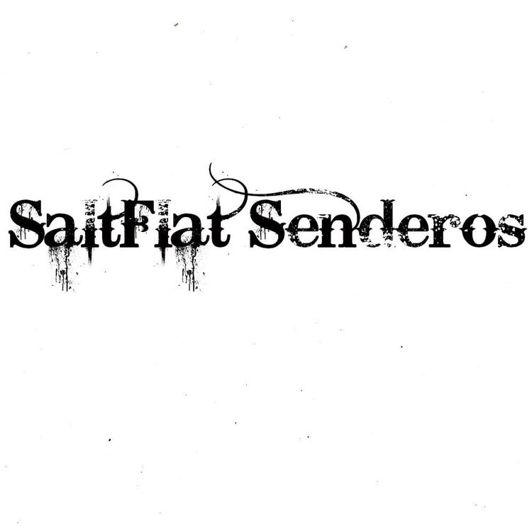 Saltflat Senderos's avatar image