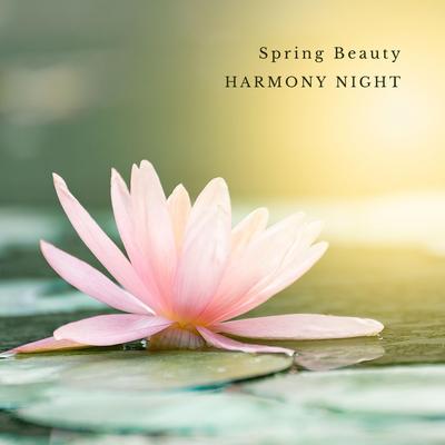 Quietude By Harmony Night's cover