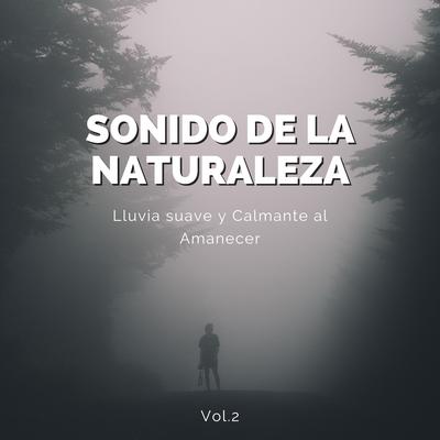 Sonidos De Lluvia Natural Para Relajación's cover