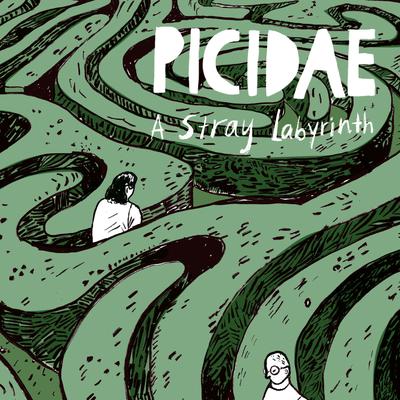 Picidae's cover