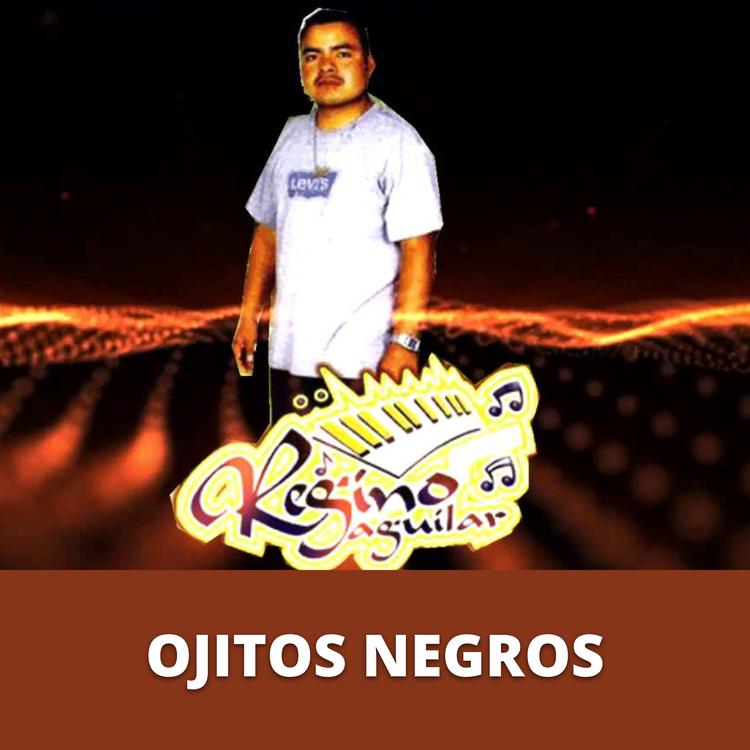 Regino Aguilar y sus teclados's avatar image