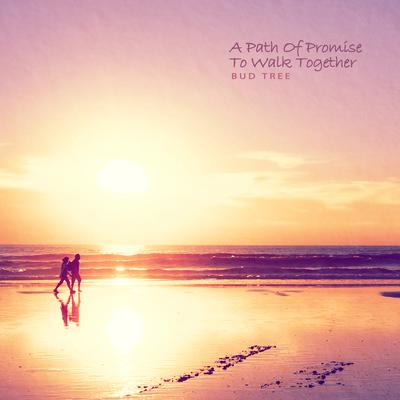 The path of promise to walk together's cover