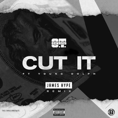 Cut It (feat. Young Dolph) [James Hype Remix]'s cover