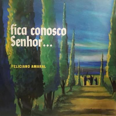 Ao Meu Redor By Feliciano Amaral's cover