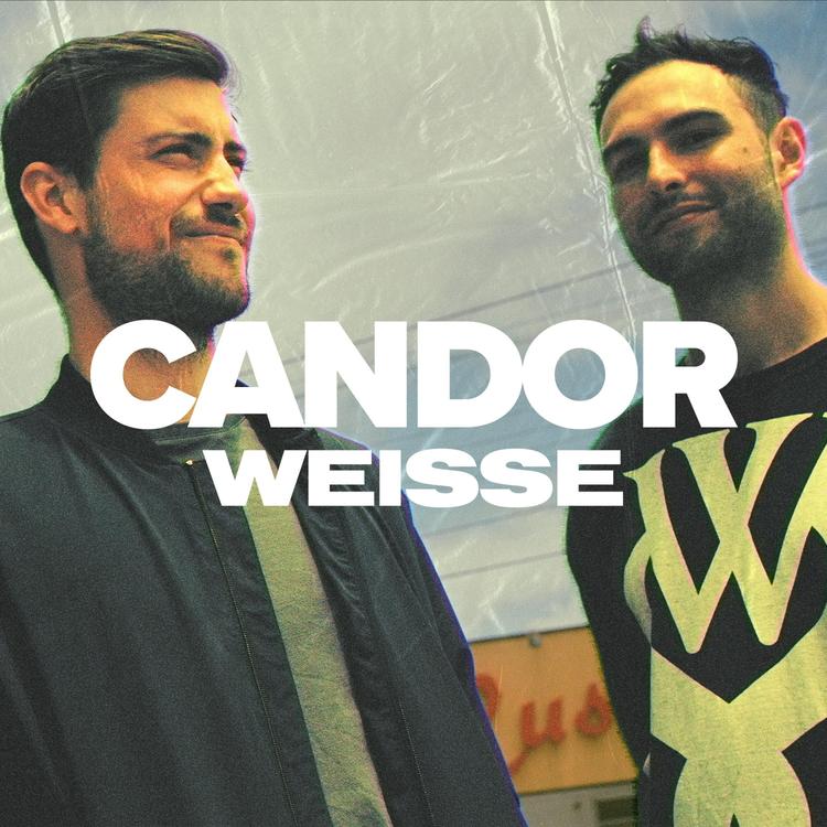 Candor's avatar image